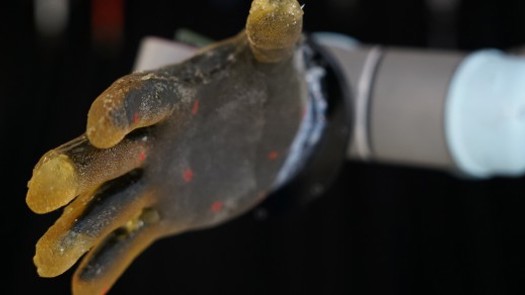 Creds: University of Cambridge 