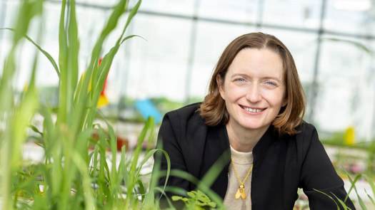 Creds: Moa Technology