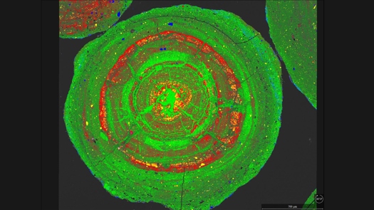 Creds: Thermo Fisher Scientific